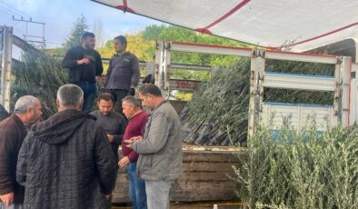 BULDAN’DA 17 BİN FİDAN TOPRAKLA BULUŞACAK