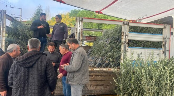 BULDAN’DA 17 BİN FİDAN TOPRAKLA BULUŞACAK