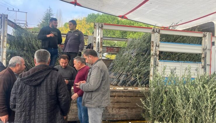 BULDAN’DA 17 BİN FİDAN TOPRAKLA BULUŞACAK