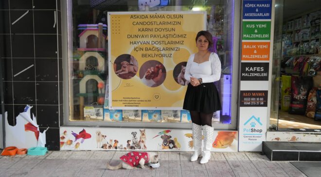 SOKAK HAYVANLARI İÇİN ‘ASKIDA MAMA’ KAMPANYASI