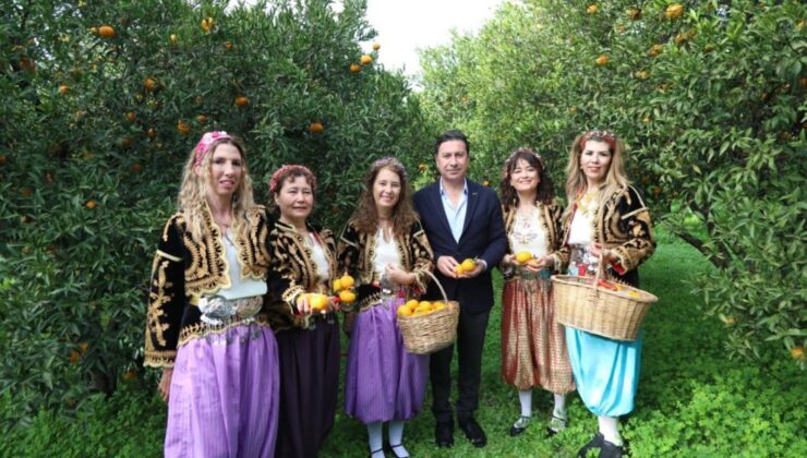 BODRUM MANDALİNA FESTİVALİ BURUK GEÇTİ