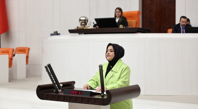 DENİZLİ MİLLETVEKİLİ SEMA SİLKİN ÜN, KADIN MİLLETVEKİLLERİNE GÜÇ BİRLİĞİ İÇİN ÇAĞRI YAPTI