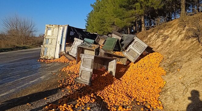 KOPAN DORSEDEKİ TONLARCA MANDALİNA YOLA SAÇILDI