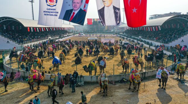 BÜYÜKŞEHİR’DEN DEVE GÜREŞİ ŞÖLENİ