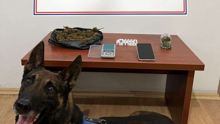 UYUŞTURUCU TACİRLERİNE 2 İLÇEDE OPERASYON DÜZENLENDİ