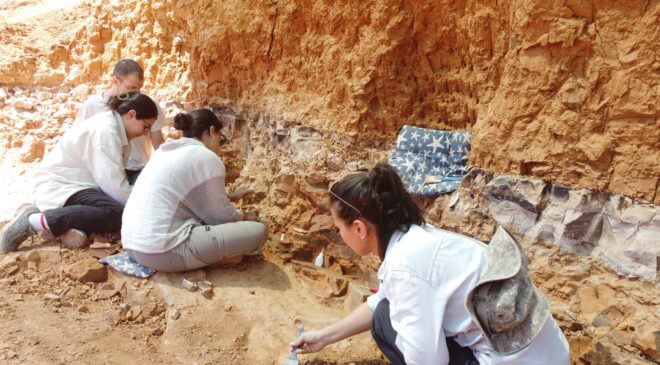 BEYAĞAÇ’TA TÜRKİYE’DE TEK ÖRNEK OLAN FİL DİŞİ FOSİLİ BULUNDU