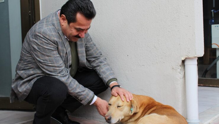 ERTEMUR’DAN ‘CAN DOSTLARIMIZA’ 4 ÖNEMLİ PROJE: “PAMUKKALEMİZDE BÜTÜN CANLAR BİZE EMANET!”