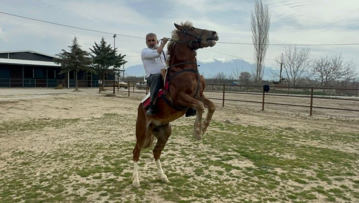 BERBEROĞLU: PAMUKKALE ŞAHLANACAK!