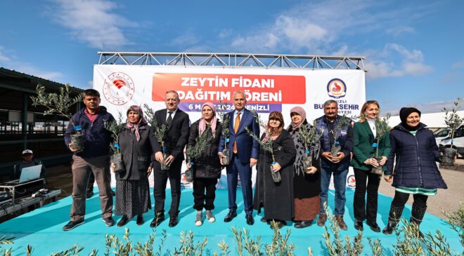 BÜYÜKŞEHİR’İN ZEYTİN FİDANI SEFERBERLİĞİ SÜRÜYOR