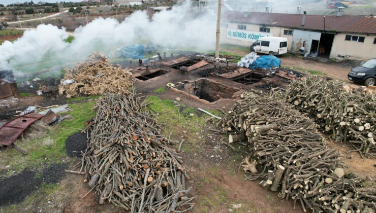 DEV OCAKLARDA YAKILAN ODUNLAR KÖMÜR OLARAK YURT DIŞINA GÖNDERİLİYOR