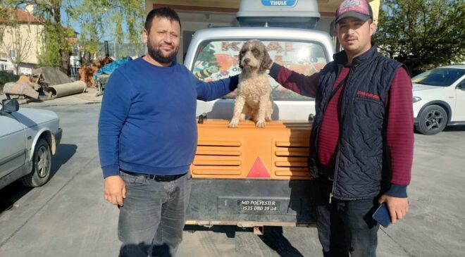TRÜF MANTARI AVCISI ‘RADAR’ BULUNDU