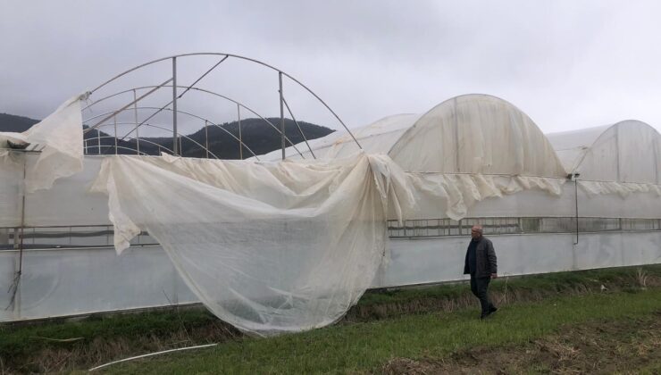 BAŞKAN ARSLAN, ÇAMELİ’DE FIRTINANIN OLUŞTURDUĞU HASARLARI YERİNDE İNCELEDİ