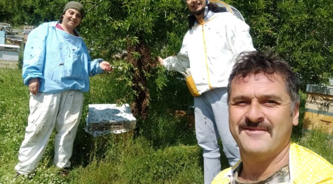 “ARI YOKSA PEŞİNDEN KOŞTUKLARI HAYVANLAR DA OLMAYACAK”