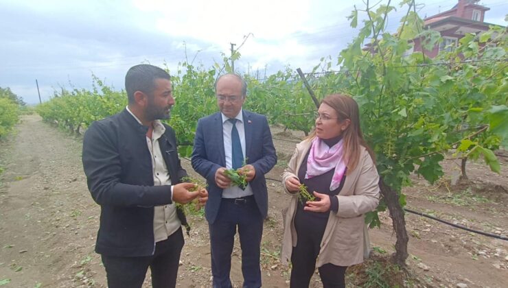 MİLLETVEKİLİ KARACA, BULDANLI ÜRETİCİLERLE BİR ARAYA GELDİ