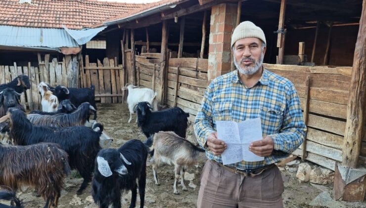 KEÇİLERİNİ OTLATIRKEN ŞİİR YAZIP, TÜRKÜ BESTELİYOR