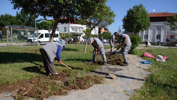 PAMUKKALE’DE BAHAR BAKIMI YAPILIYOR