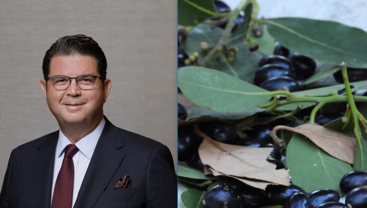 DENİZLİ’NİN DEFNE KOKUSU ABD VE AVRUPA RESTORANLARINA YAYILIYOR