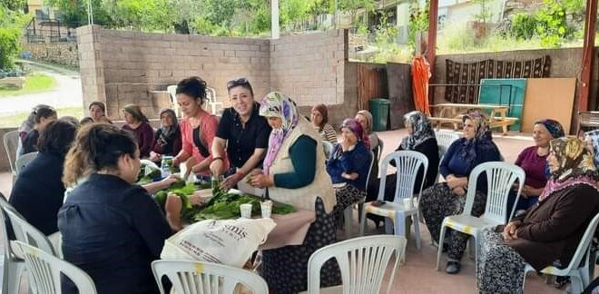 ÇAL YAPRAĞI ALTIN GİBİ SAKLANACAK