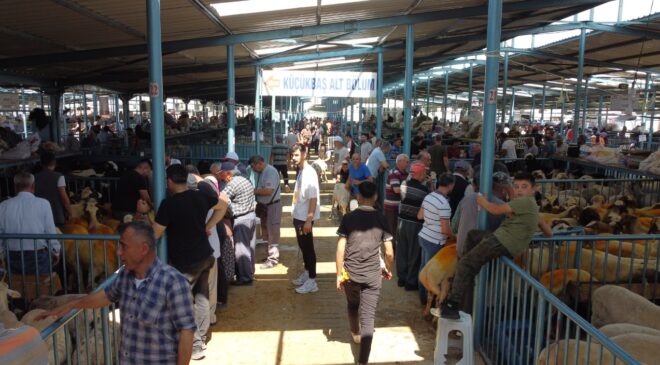 TİCARET BORSASI KURBAN PAZARI HAREKETLENDİ