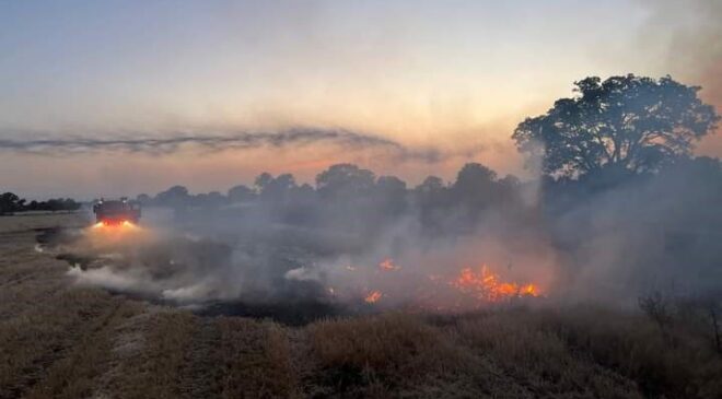 BEKİLLİ İLÇESİNDE ÇIKAN YANGIN SÖNDÜRÜLDÜ