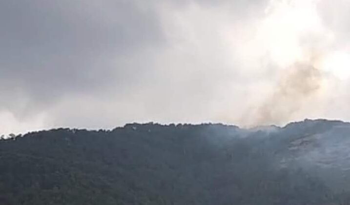 YILDIRIM DÜŞMESİ SONUCU YANGIN ÇIKTI