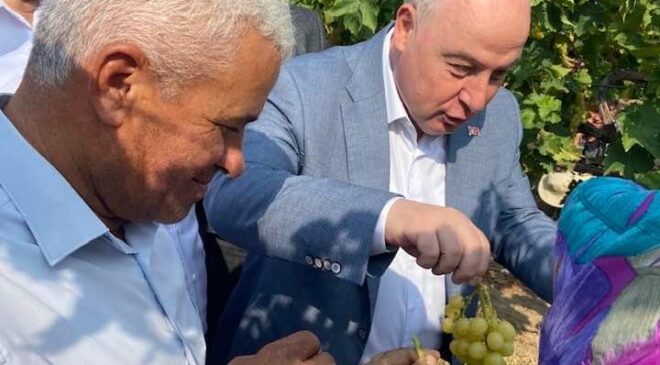 VALİ COŞKUN BAĞDAN ÜZÜM HASADI YAPTI