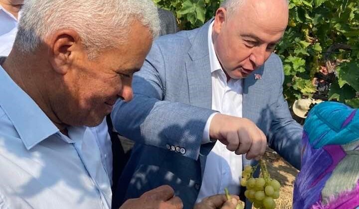 VALİ COŞKUN BAĞDAN ÜZÜM HASADI YAPTI
