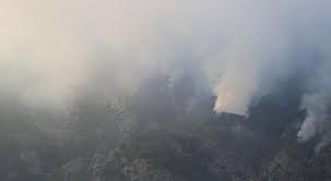 DENİZLİ ORMAN YANGINI BASIN AÇIKLAMASI