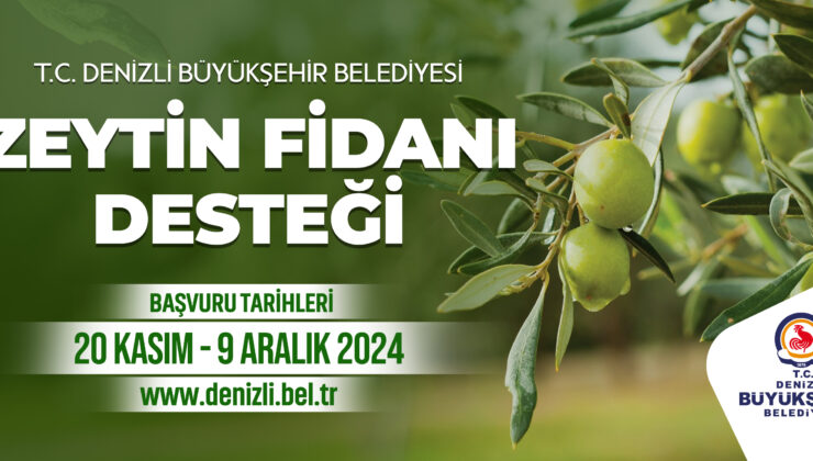 Büyükşehir’den çiftçilere 50 bin zeytin fidanı 