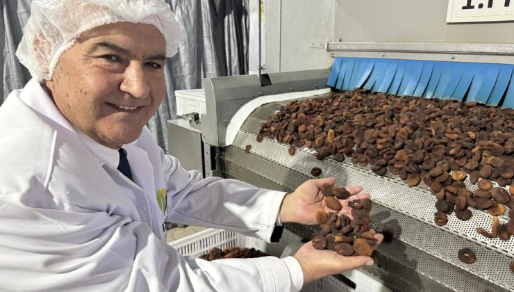 Türk organik gıda sektör temsilcileri Almanya’da “boy gösterdi”