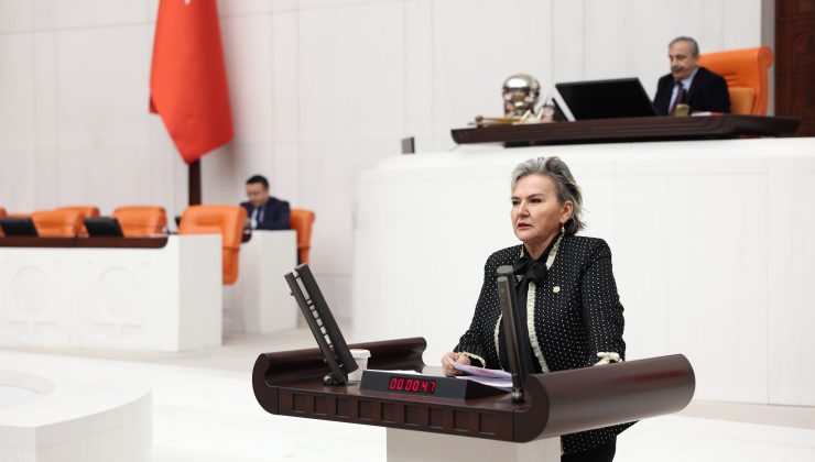 CHP İstanbul Mv. Nimet Özdemir’den Genç İstihdamı İçin TBMM’ye Soru Önergesi