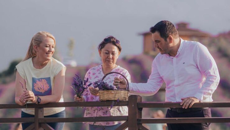 MERKEZEFENDİ’NİN MOR GÜZELLİĞİ, LAVANTA BAHÇESİ