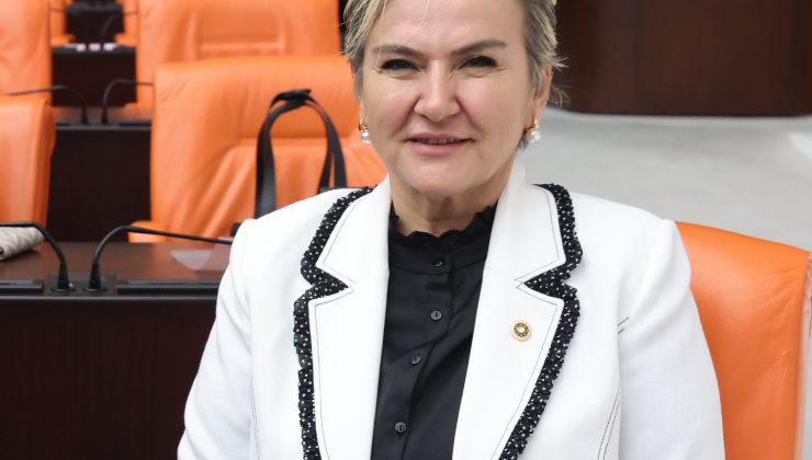 CHP İstanbul Milletvekili Nimet Özdemir’den İçişleri Bakanı’na Sultanbeyli’de Uyuşturucu ile Mücadeleye Dair Soru Önergesi