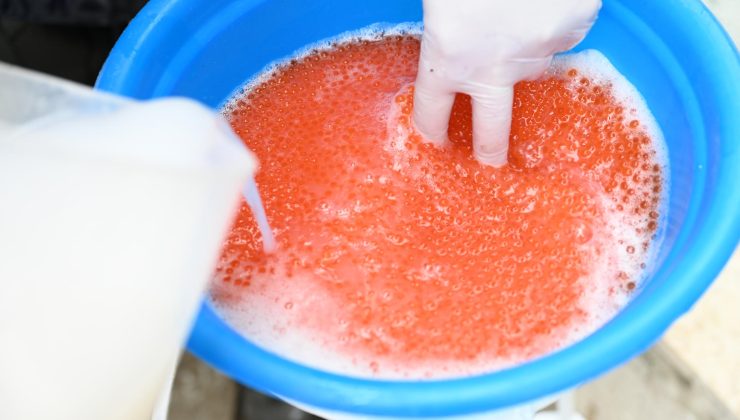 Denizli Valisi Ömer Faruk Coşkun, Çameli’deki Alabalık Üretim Tesisleri’ni Ziyaret Edip Balık Yumurtası Sağımına Katıldı