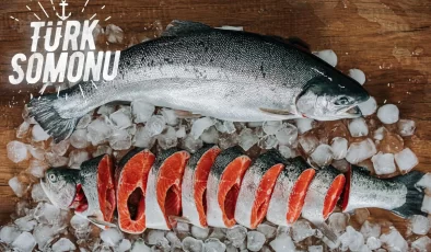 Türk somonu ihracatı 5 yılda 17 kat arttı