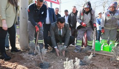 PAMUKKALE BELEDİYESİ GÖZLER’E 25 BİN 104 LAVANTA DİKTİ