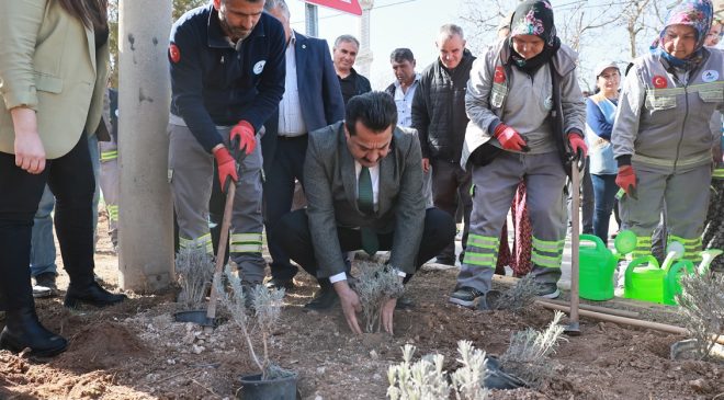 PAMUKKALE BELEDİYESİ GÖZLER’E 25 BİN 104 LAVANTA DİKTİ